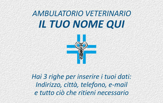 Ghibli Design - Biglietto personalizzabile,  #1516 - fronte - ambulatorio, veterinario, caduceo, croce, medico