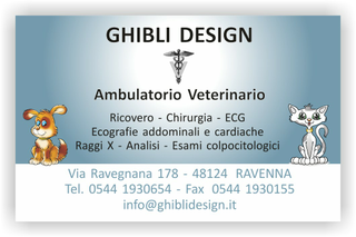 Ghibli Design - Biglietto personalizzabile,  #1528 - fronte - ambulatorio, animali, azzurro, cane, cuccioli, disegni, disegno, gatto, orario, studio, veterinario