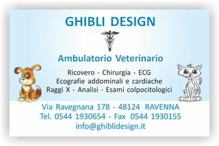 Ghibli Design - Biglietto personalizzabile,  #1529 - fronte - ambulatorio, animali, azzurro, cane, cuccioli, disegni, disegno, gatto, orario, studio, veterinario