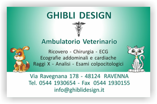 Ghibli Design - Biglietto personalizzabile,  #1531 - fronte - ambulatorio, animali, cane, catalogo, cuccioli, disegni, disegno, gatto, orario, studio, verde, veterinario