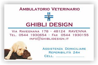 Ghibli Design - Biglietto personalizzabile,  #1534 - fronte - 3341, 1534, ambulatorio, animali, appuntamento, cane, cuccioli, gatto, orario, studio, veterinario, boredeaux, bianco