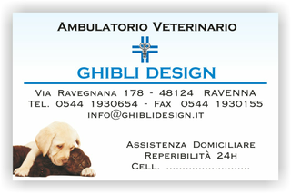 Ghibli Design - Biglietto personalizzabile,  #1535 - fronte - ambulatorio, animali, appuntamento, azzurro, bianco, cane, catalogo, cuccioli, gatto, orario, studio, veterinario