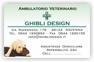 Ghibli Design - Biglietto personalizzabile,  #1536 - fronte - ambulatorio, animali, appuntamento, cane, cuccioli, gatto, orario, studio, verde, veterinario