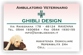 Ghibli Design - Biglietto personalizzabile,  #1537 - fronte - ambulatorio, animali, appuntamento, cane, cuccioli, gatto, orario, studio, veterinario, rosa, verde