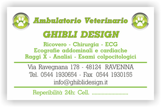 Ghibli Design - Biglietto personalizzabile,  #1538 - fronte - 3342, 1538, ambulatorio, animali, cuccioli, impronta, studio, verde, veterinario