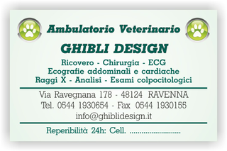 Ghibli Design - Biglietto personalizzabile,  #1539 - fronte - ambulatorio, animali, cuccioli, impronta, studio, verde, veterinario