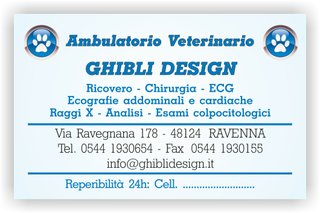 Ghibli Design - Biglietto personalizzabile,  #1540 - fronte - ambulatorio, animali, azzurro, blu, cuccioli, impronta, studio, veterinario