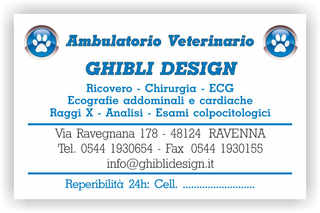 Ghibli Design - Biglietto personalizzabile,  #1541 - fronte - ambulatorio, animali, azzurro, blu, catalogo, cuccioli, impronta, studio, veterinario
