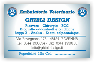 Ghibli Design - Biglietto personalizzabile,  #1542 - fronte - ambulatorio, animali, azzurro, blu, cuccioli, impronta, studio, veterinario