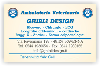 Ghibli Design - Biglietto personalizzabile,  #1543 - fronte - ambulatorio, animali, blu, cuccioli, impronta, studio, veterinario, giallino