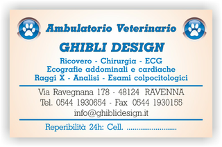 Ghibli Design - Biglietto personalizzabile,  #1545 - fronte - ambulatorio, animali, blu, cuccioli, impronta, studio, veterinario, arancione