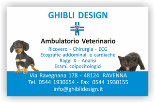 Ghibli Design - Biglietto personalizzabile,  #1546 - fronte - 3343, 1546, ambulatorio, animali, azzurro, blu, cagnolino, cane, cuccioli, gattino, gatto, studio, veterinario