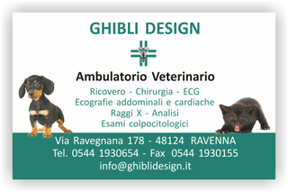 Ghibli Design - Biglietto personalizzabile,  #1547 - fronte - ambulatorio, animali, cagnolino, cane, catalogo, cuccioli, gattino, gatto, studio, verde, veterinario