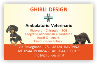 Ghibli Design - Biglietto personalizzabile,  #1548 - fronte - ambulatorio studio veterinario animali cuccioli gatto gattino cane cagnolino arancione