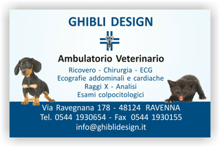 Ghibli Design - Biglietto personalizzabile,  #1549 - fronte - ambulatorio, animali, blu, cagnolino, cane, cuccioli, gattino, gatto, studio, veterinario