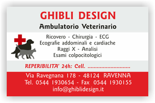 Ghibli Design - Biglietto personalizzabile,  #1550 - fronte - 3344, 1550, ambulatorio, animali, cane, catalogo, cuccioli, cura, disegno, gatto, grigio, rosso, studio, veterinario