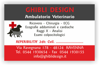 Ghibli Design - Biglietto personalizzabile,  #1551 - fronte - ambulatorio studio veterinario animali cuccioli cura cane gatto disegno rosso grigio