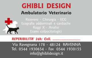 Ghibli Design - Biglietto personalizzabile,  #1553 - fronte - ambulatorio studio veterinario animali cuccioli cura cane gatto disegno rosso grigio