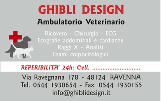 Ghibli Design - Biglietto personalizzabile,  #1554 - fronte - ambulatorio studio veterinario animali cuccioli cura cane gatto disegno rosso grigio