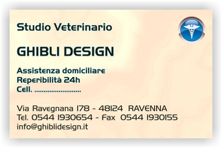 Ghibli Design - Biglietto personalizzabile,  #1555 - fronte - ambulatorio, animali, beige, blu, catalogo, cuccioli, cura, rosa, studio, veterinario
