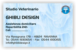 Ghibli Design - Biglietto personalizzabile,  #1557 - fronte - ambulatorio, animali, azzurro, blu, cuccioli, cura, studio, veterinario