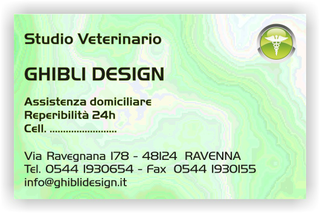 Ghibli Design - Biglietto personalizzabile,  #1558 - fronte - 3345, 1558, ambulatorio, animali, cuccioli, cura, studio, verde, veterinario