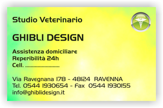 Ghibli Design - Biglietto personalizzabile,  #1559 - fronte - ambulatorio, animali, cuccioli, cura, studio, verde, veterinario, giallo