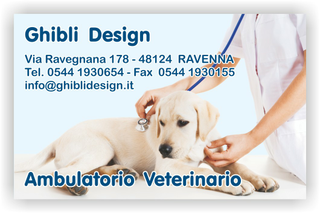 Ghibli Design - Biglietto personalizzabile,  #1568 - fronte - 3347, 1568, ambulatorio, animali, azzurro, cane, cuccioli, cura, labrador, retriever, studio, veterinario