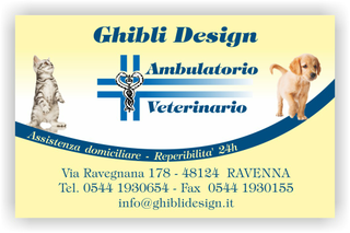 Ghibli Design - Biglietto personalizzabile,  #1571 - fronte - ambulatorio, animali, blu, cane, catalogo, cuccioli, cura, gatto, giallo, labrador, studio, veterinario