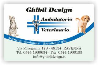 Ghibli Design - Biglietto personalizzabile,  #1572 - fronte - ambulatorio, animali, blu, cane, cuccioli, cura, gatto, labrador, studio, verde, veterinario