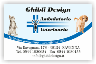 Ghibli Design - Biglietto personalizzabile,  #1574 - fronte - ambulatorio, animali, azzurro, blu, cane, cuccioli, cura, gatto, labrador, studio, veterinario