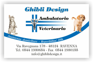 Ghibli Design - Biglietto personalizzabile,  #1575 - fronte - ambulatorio, animali, azzurro, blu, cane, cuccioli, cura, gatto, labrador, studio, veterinario, bianco