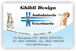 Ghibli Design - Biglietto personalizzabile,  #1576 - fronte - 3348, 1576, ambulatorio, animali, azzurro, cane, cuccioli, cura, gatto, labrador, studio, veterinario