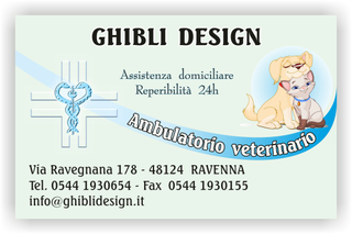 Ghibli Design - Biglietto personalizzabile,  #1577 - fronte - ambulatorio, animali, azzurro, cane, cuccioli, cura, disegno, gatto, studio, verde, veterinario