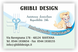 Ghibli Design - Biglietto personalizzabile,  #1583 - fronte - ambulatorio, animali, azzurro, cane, cuccioli, cura, disegno, gatto, studio, verde, veterinario