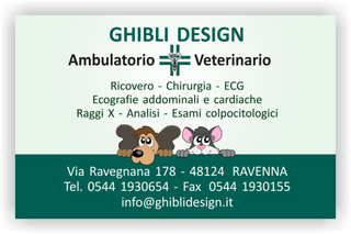 Ghibli Design - Biglietto personalizzabile,  #1584 - fronte - ambulatorio, animali, cane, cuccioli, cura, disegnino, disegno, gatto, studio, verde, veterinario