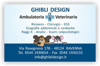 Ghibli Design - Biglietto personalizzabile,  #1585 - fronte - ambulatorio, animali, azzurro, blu, cane, catalogo, cuccioli, cura, disegnino, disegno, gatto, studio, veterinario