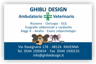Ghibli Design - Biglietto personalizzabile,  #1588 - fronte - ambulatorio, animali, blu, cane, cuccioli, cura, disegnino, disegno, gatto, studio, veterinario