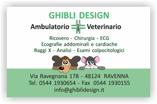 Ghibli Design - Biglietto personalizzabile,  #1589 - fronte - 3339, 1589, ambulatorio, animali, cane, cuccioli, cura, disegnino, disegno, gatto, studio, verde, veterinario