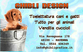 Ghibli Design - Biglietto personalizzabile,  #216 - fronte - animali, azzurro, bacinella, cagnolino, cane, cuccioli, cucciolo, fedeltà, tessera, toeletta, toelettatura, vasca, vendita