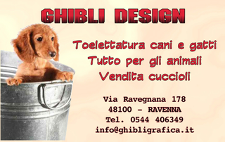 Ghibli Design - Biglietto personalizzabile,  #217 - fronte - 3406, 217, animali, bacinella, cagnolino, cane, cuccioli, cucciolo, fedeltà, tessera, toeletta, toelettatura, vasca, vendita