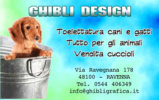 Ghibli Design - Biglietto personalizzabile,  #218 - fronte - animali, azzurro, bacinella, cagnolino, cane, cuccioli, cucciolo, fedeltà, tessera, toeletta, toelettatura, vasca, vendita