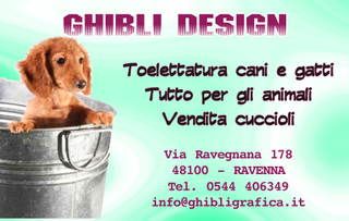 Ghibli Design - Biglietto personalizzabile,  #219 - fronte - cucciolo, cane, cagnolino, bacinella, vasca, toeletta, toelettatura, vendita cuccioli, animali, tessera fedeltà