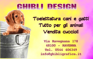 Ghibli Design - Biglietto personalizzabile,  #220 - fronte - cucciolo, cane, cagnolino, bacinella, vasca, toeletta, toelettatura, vendita cuccioli, animali, giallo, rosa, fuxia, tessera fedeltà