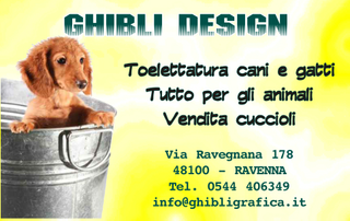 Ghibli Design - Biglietto personalizzabile,  #221 - fronte - cucciolo, cane, cagnolino, bacinella, vasca, toeletta, toelettatura, vendita cuccioli, animali, tessera fedeltà