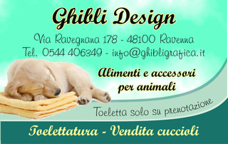Ghibli Design - Biglietto personalizzabile,  #225 - fronte - cucciolo, cane, cagnolino, toeletta, toelettatura, vendita cuccioli, animali, labrador, addormentato, relax, dolcezza, 