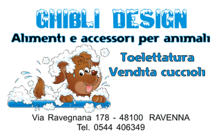Ghibli Design - Biglietto personalizzabile,  #276 - fronte - cane, cagnolino, vasca, schiuma, toelettatura, animali