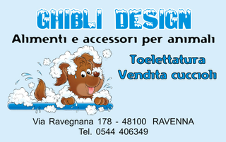 Ghibli Design - Biglietto personalizzabile,  #277 - fronte - cane, cagnolino, vasca, schiuma, toelettatura, animali, azzurro