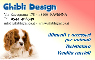 Ghibli Design - Biglietto personalizzabile,  #311 - fronte - cane, cagnolino, animali, cucciolo, toelettatura, toeletta, king chevalier