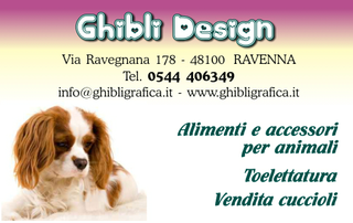 Ghibli Design - Biglietto personalizzabile,  #312 - fronte - cane, cagnolino, animali, cucciolo, toelettatura, toeletta, king chevalier